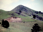 Tahanga Mountain_thumb.gif